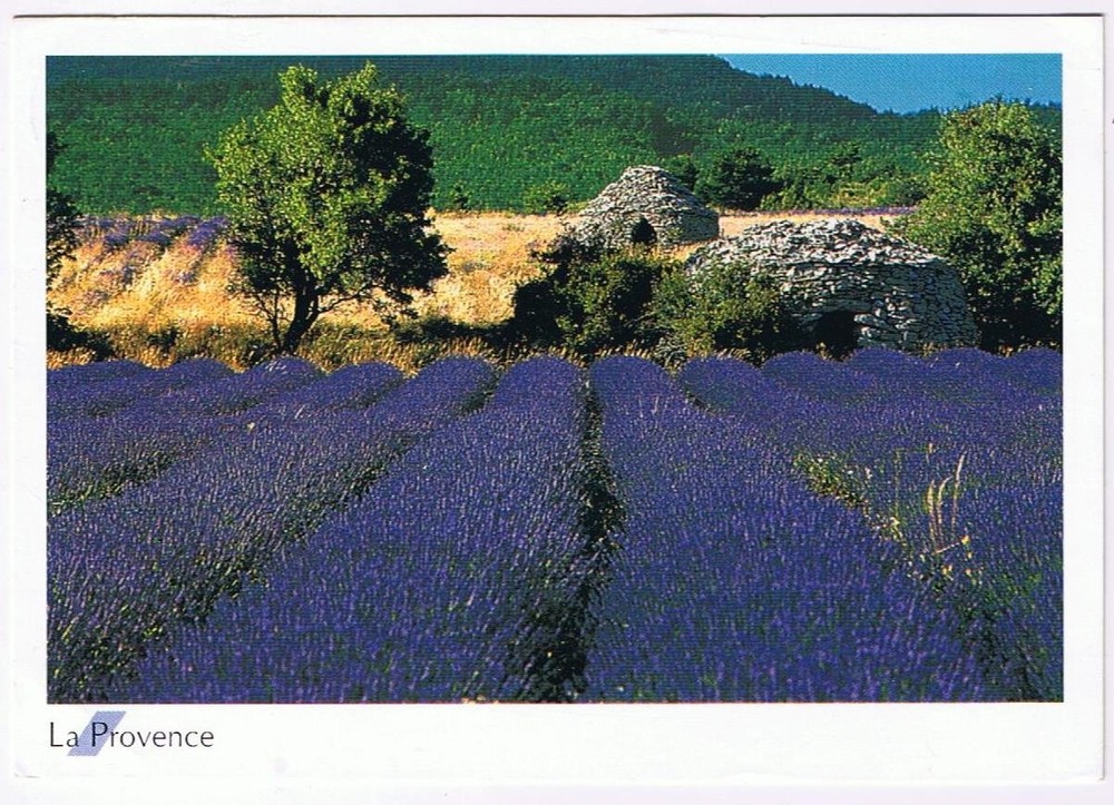 France Postcard La Provence