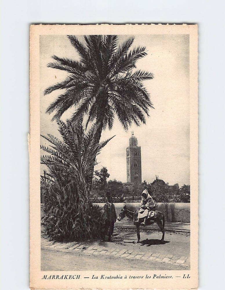 Postcard La Koutoubia a travers les Palmiers Marrakesh Morocco