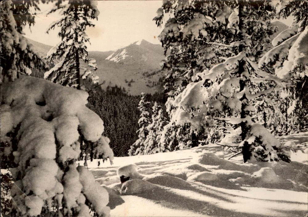 RPPC Tatra Mountains Zakopane Poland vintage postcard a283