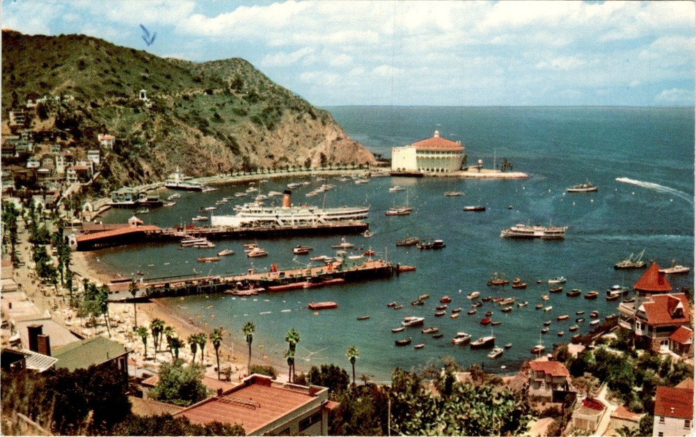 WESTERN PUBLISHING & NOVELTY CO., LOS ANGELES, CALIF., A Postcard