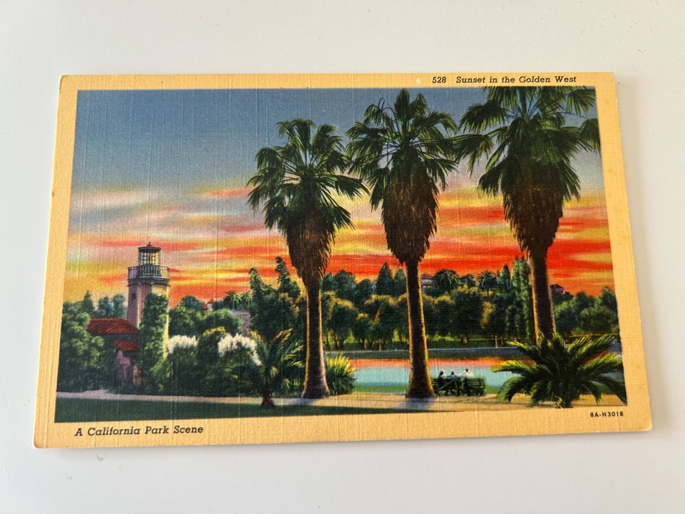 Sunset in the Golden West A California Park Scene Palm Trees Postcard