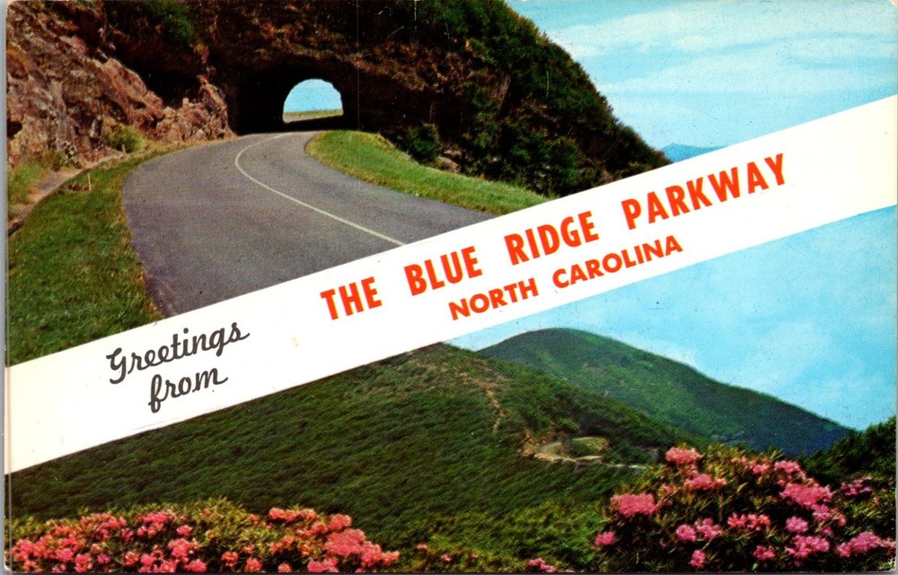 Blue Ridge Parkway Postcard NC Craggy Gardens Rhododendron Vintage Tunnel