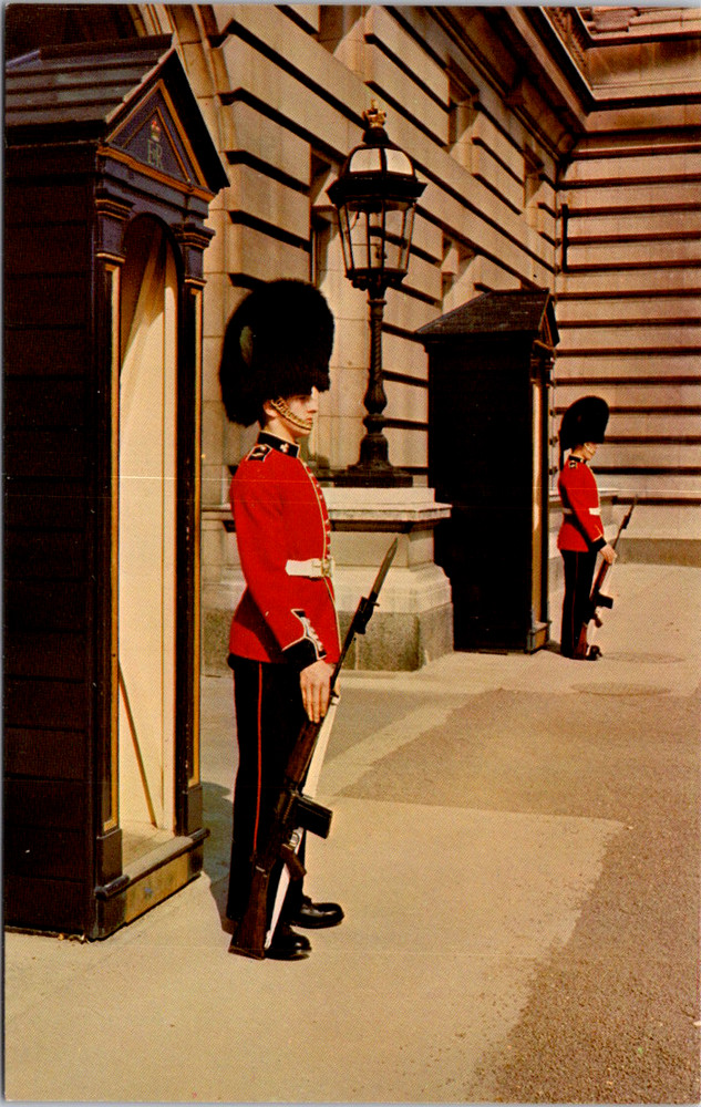 Vintage Postcard Irish Guards Sentry Duty Buckingham Palace London England