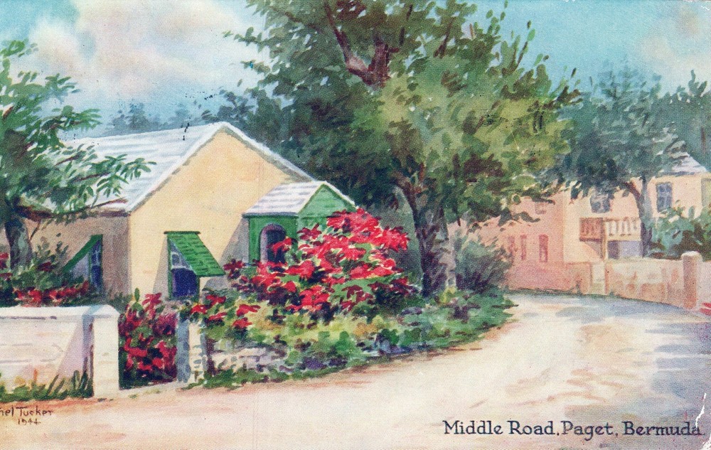 Middle Road, Paget, Bermuda Vintage 1940’s Postcard
