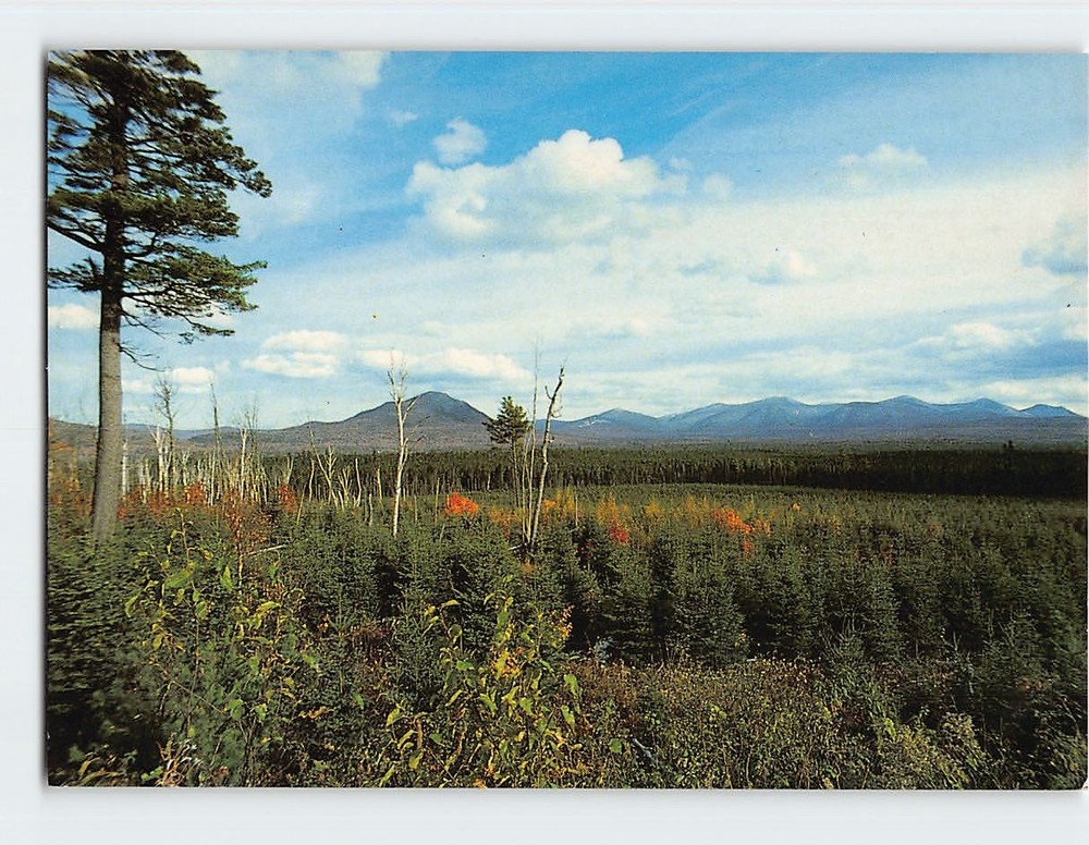 Postcard Mt. Katahdin Range as viewed from hill Nesowadnehunk Lake Maine USA