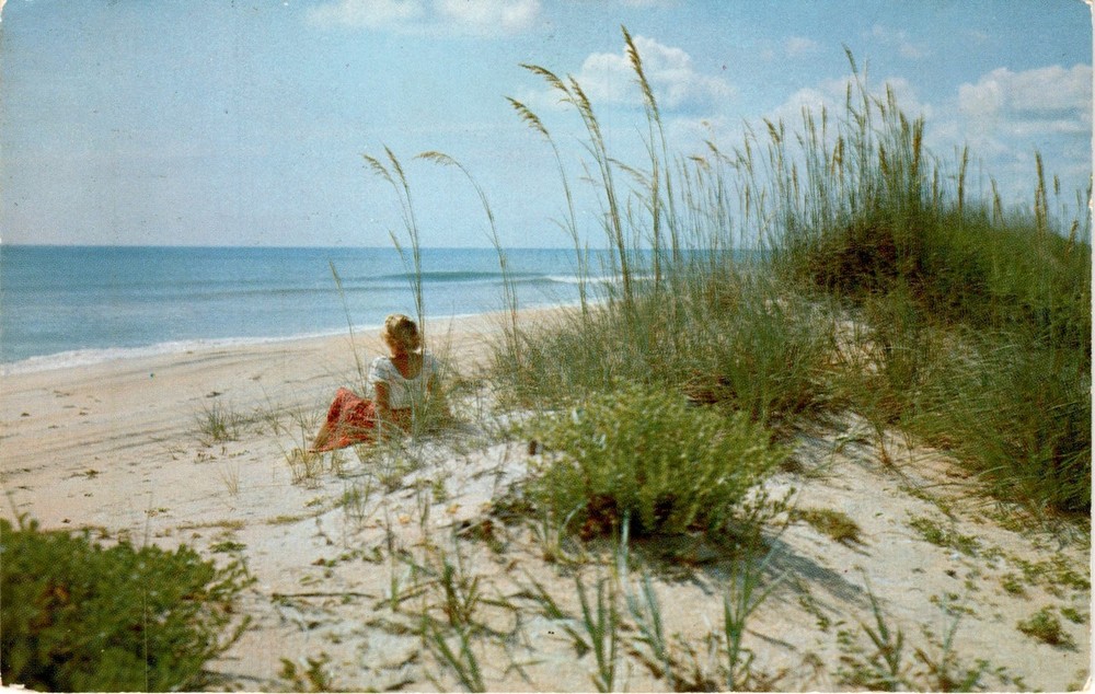 DAYTONA BEACH, FLORIDA, H. W. Hannau, NATURAL COLOR Postcard