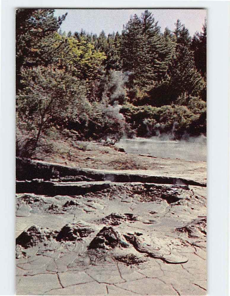 Postcard Mud Pools Waiotapu Wonderland NZ