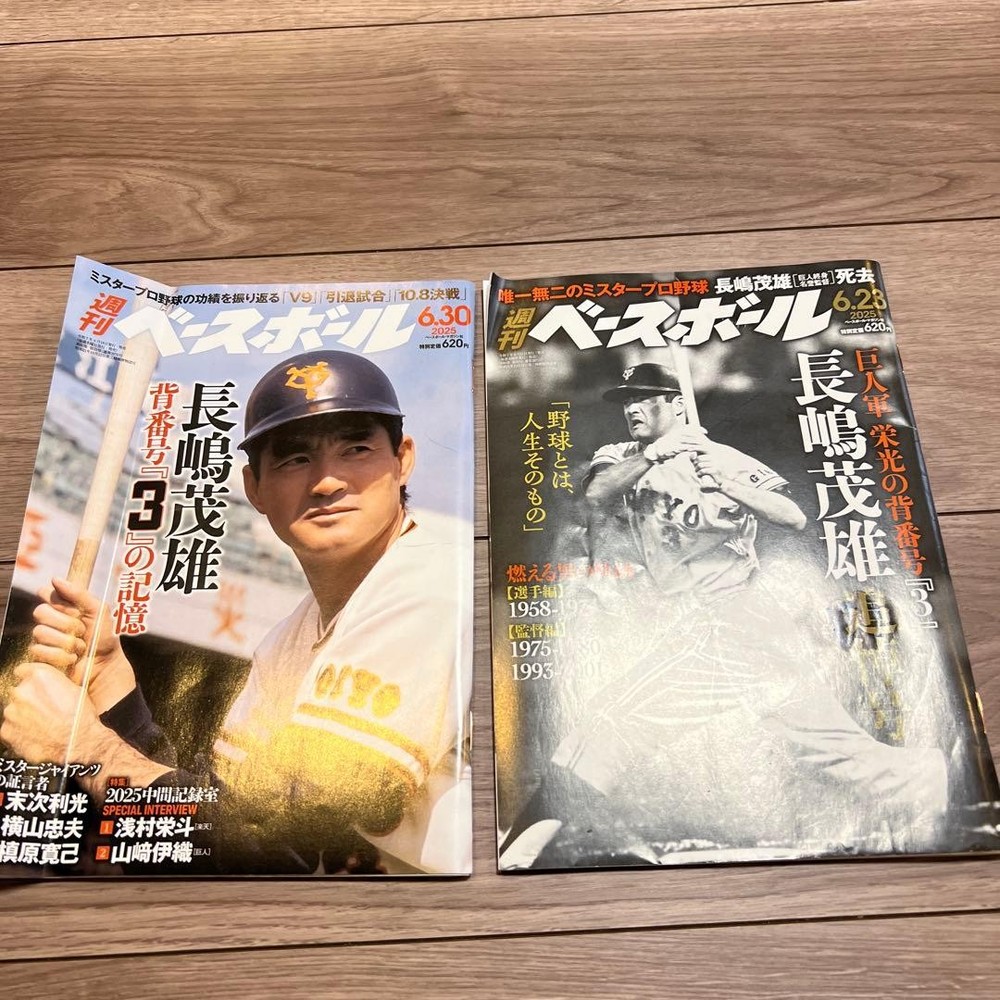 Weekly Baseball Shigeo Nagashima Special Issue 2-volume set