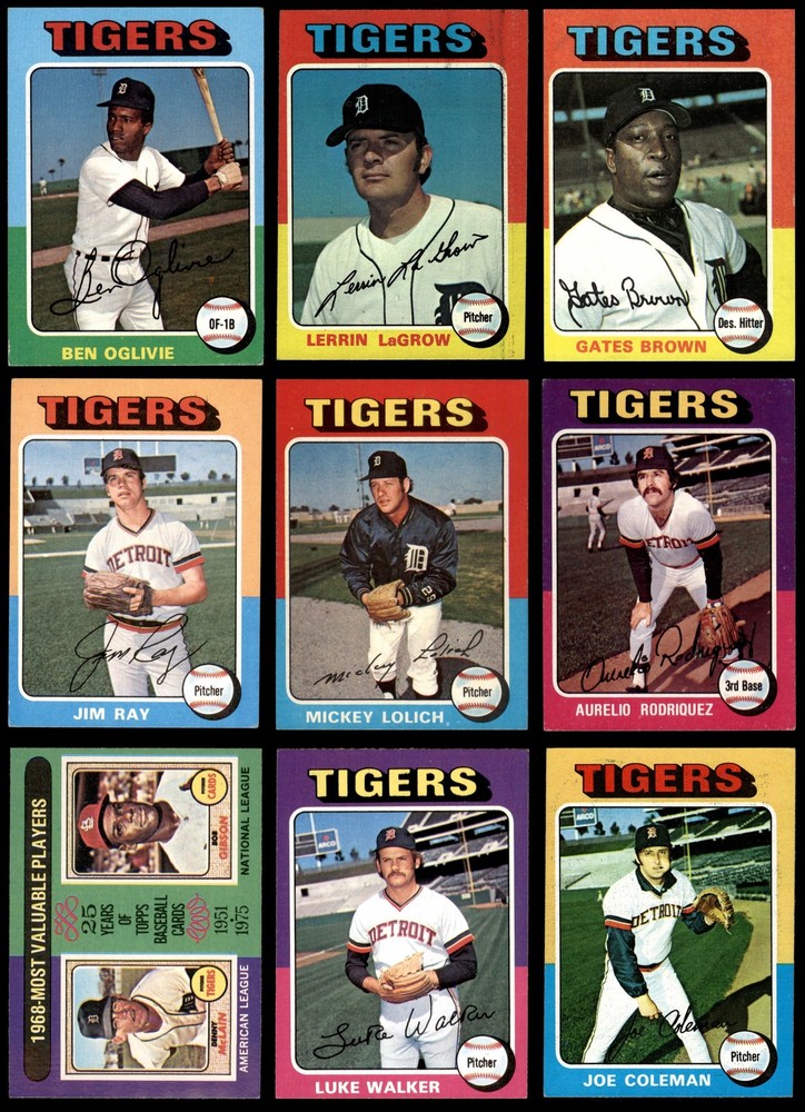 1975 Topps Detroit Tigers Near Team Set 4.5 - VG/EX+ 7175240 (13 / 31 cards)