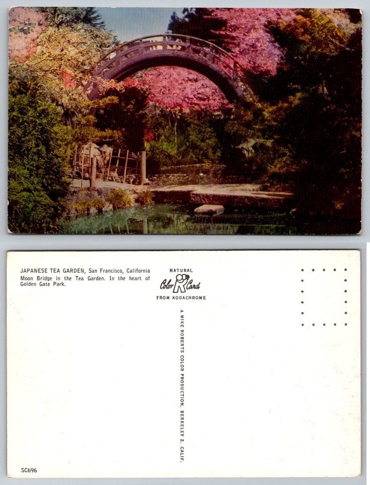 San Francisco Japanese Tea Garden Moon Bridge Golden Gate Park Color Postcard