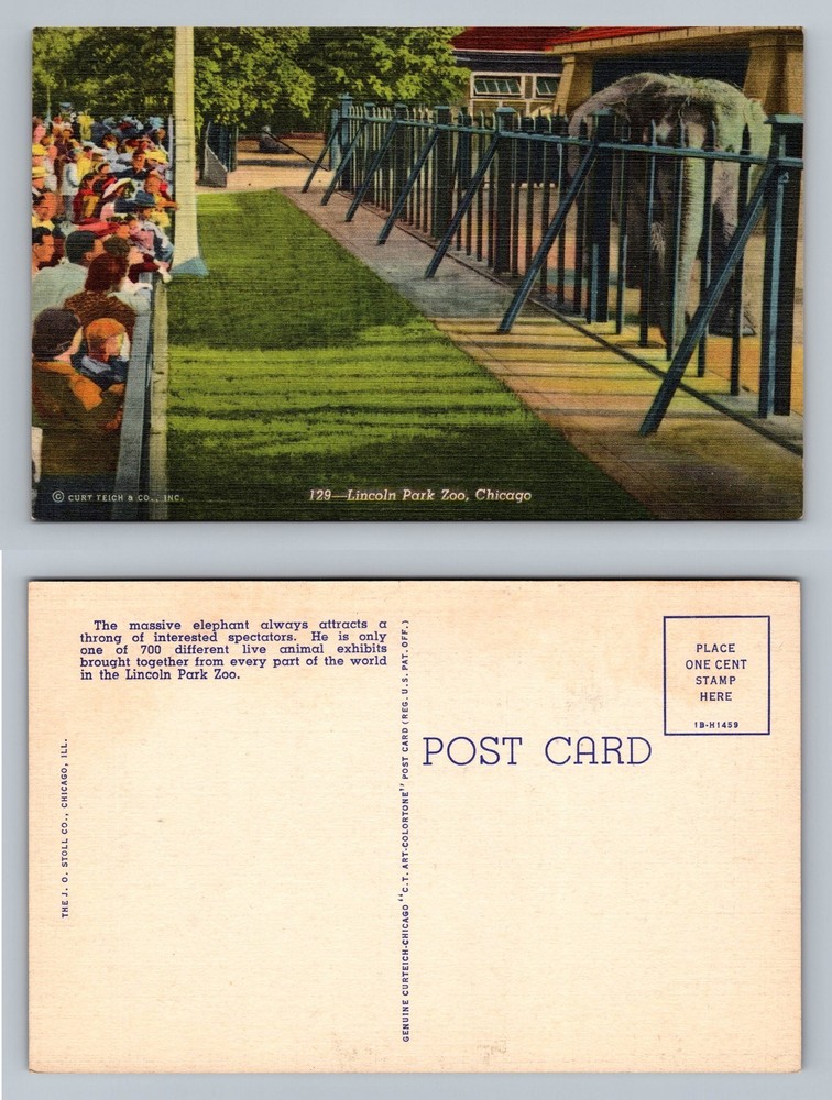 Chicago, IL-Illinois, Lincoln Park Zoo Elephant Enclosure View Vintage Postcard
