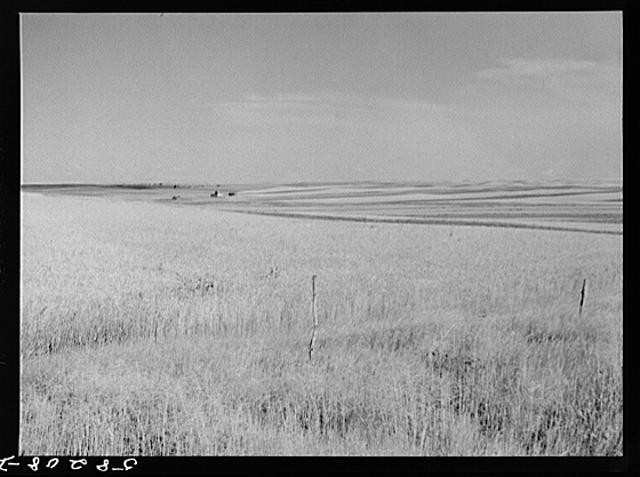 Roosevelt County,Montana,MT,Farm Security Administration,Marion Post Wolcott,2