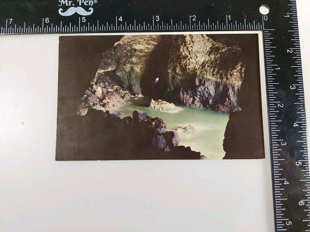 Postcard Sea Lion Caves, Oregon Coast, Oregon, USA