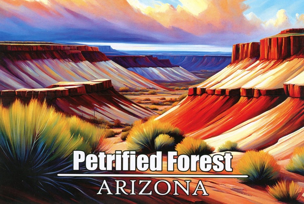 Petrified Forest National Park, Near Holbrook, Arizona --New POSTCARD