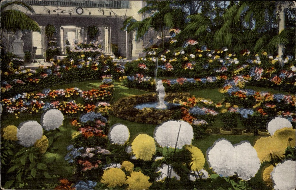 St Louis Missouri Forest Park Chrysanthemum Display ~ 1940s linen postcard