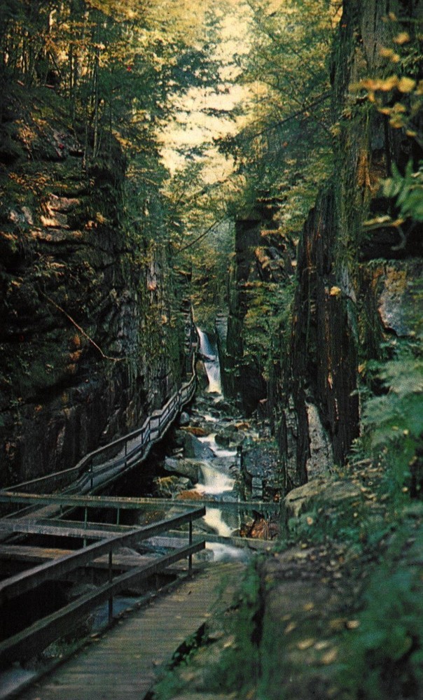 The Flume Gorge, Franconia Notch, N.H., Vintage Postcard
