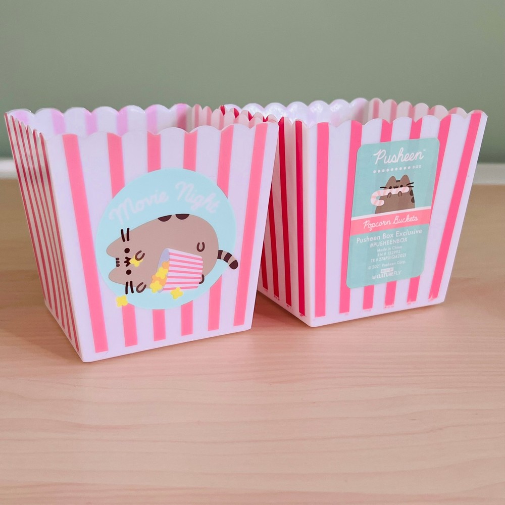 Pusheen Box Popcorn Boxes Winter 2021 New