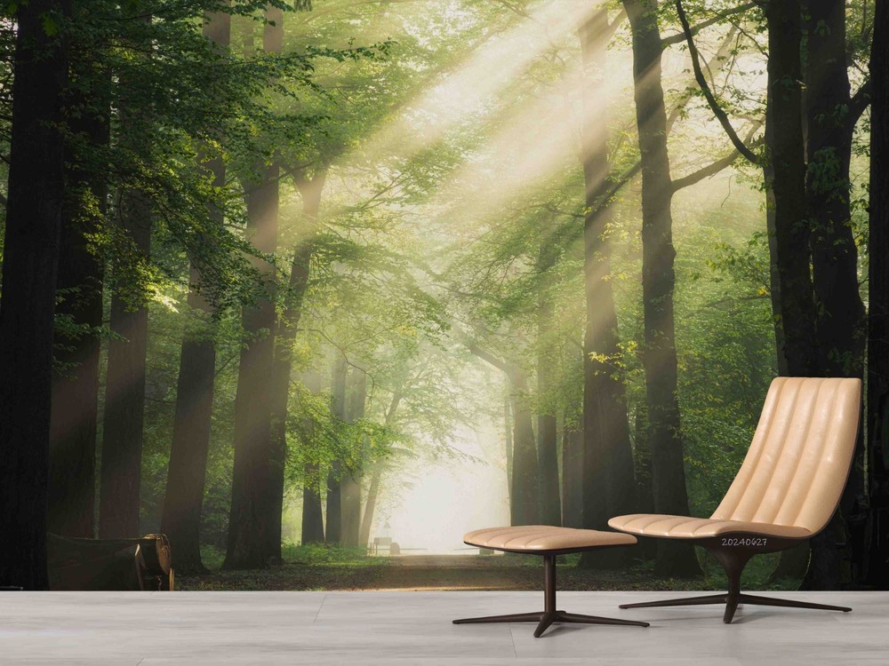 3D Forest Sunshine Landscape Wall Murals Wallpaper Murals Wall Sticker 2