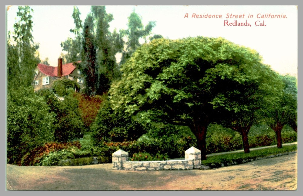 A Residence Street in California Redlands DB c1910 Vintage UNP Postcard