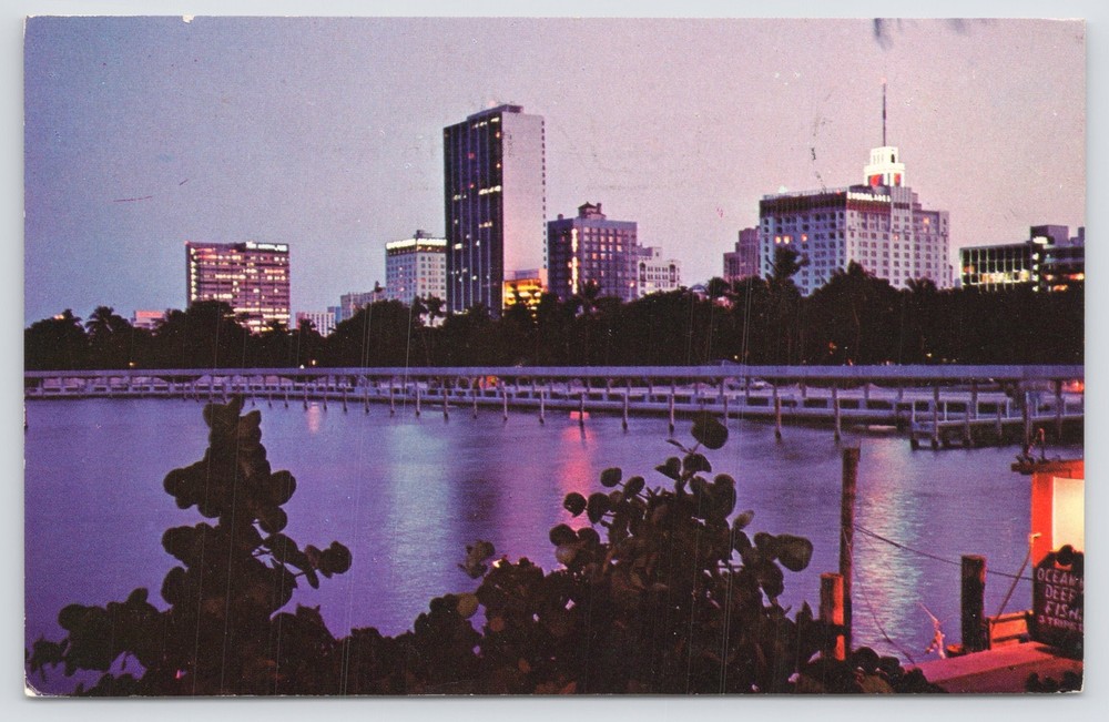 State View~PM 1972~Miami Bayfront Park & Boulevard Hotels~Twilight Scene~Florida