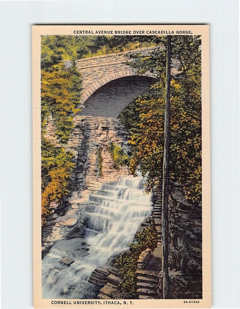 Postcard Central Avenue Bridge over Cascadilla Gorge Ithaca NY USA