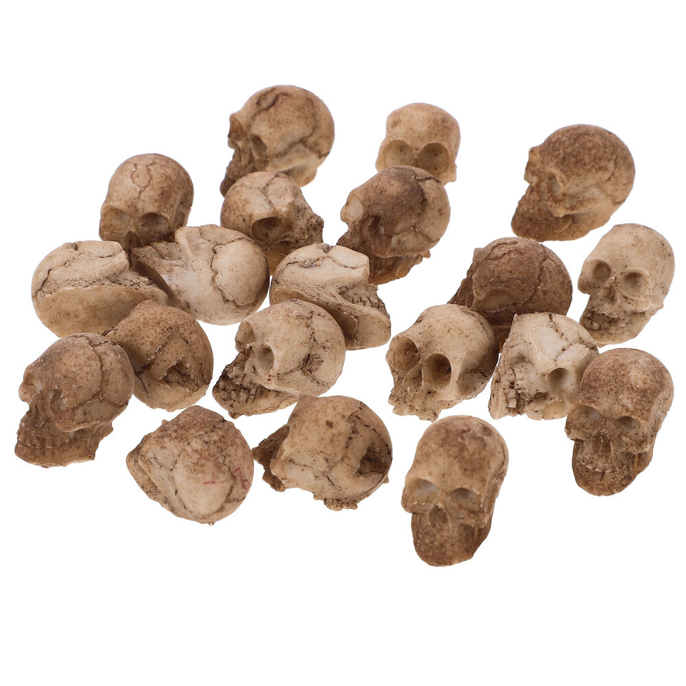 20pcs Premium Creative Practical Halloween Skull Model Skulls Decor Party