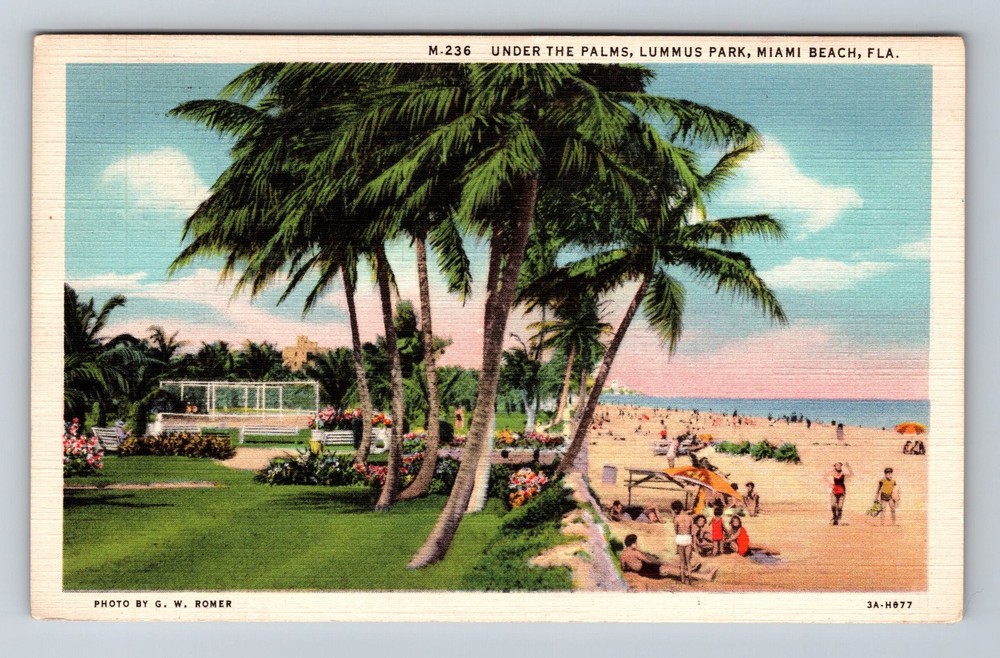 Miami Beach FL-Florida Under The Palms Lummus Park Vintage c1934 Postcard