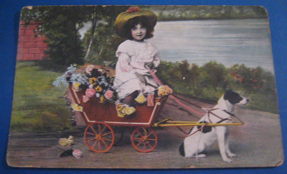 Antique Postcard Dog Cart With Girl Colorful Historic Scrapbooking Crafts