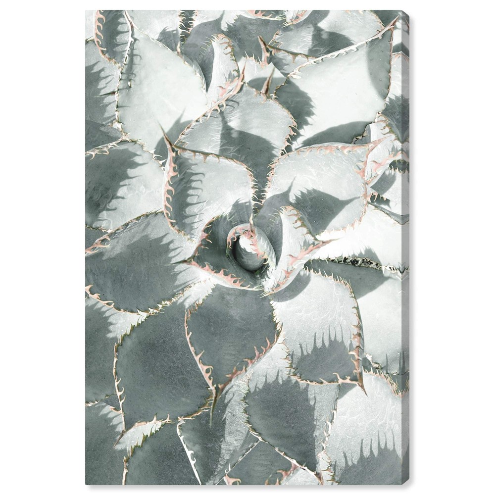 Succulent Zoom V Floral Wall Art Canvas 20x30 Green Home Décor