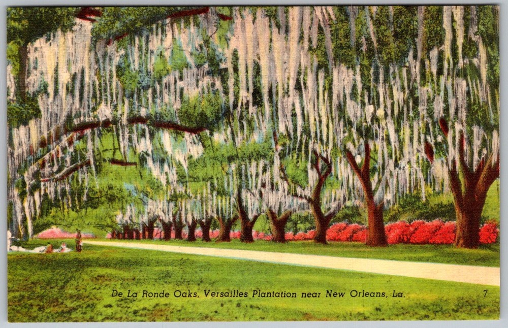 Vtg Postcard DE Ronde Oaks New Orleans, LA 1930s