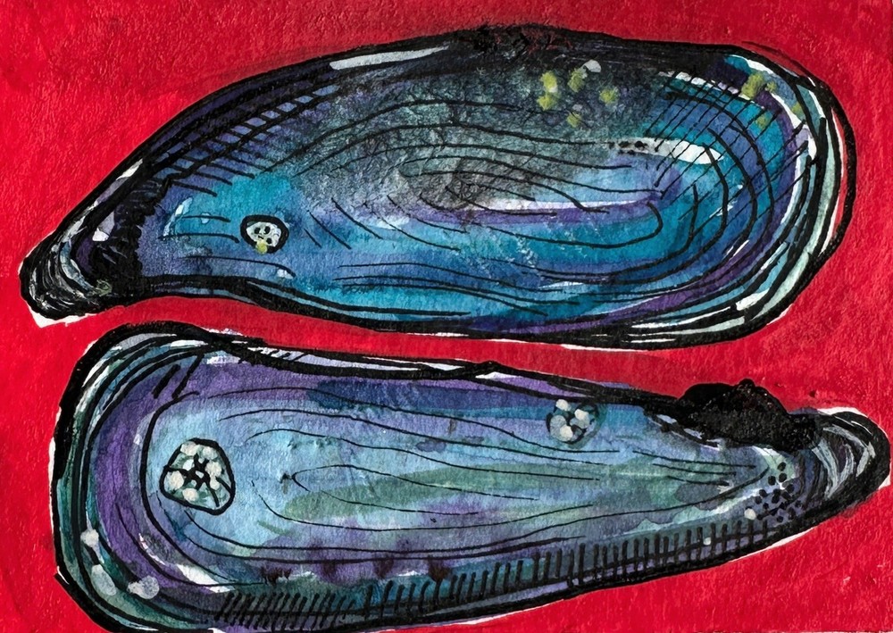 ACEO Original Watercolor Mussel Shell Mini Art by Bri Sander 3.5 x 2.5” OOAK ATC