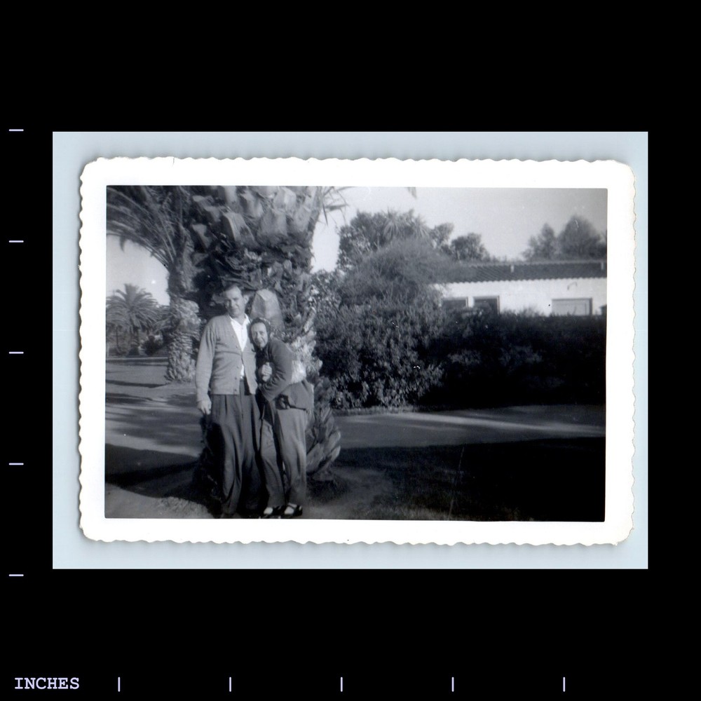 Old Vintage Photo AFFECTIONATE MAN WOMAN COUPLED BY PALM TREE