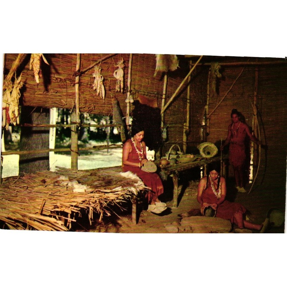 Jamestown Virginia Chief Powhatan Lodge Algonquin Indians Postcard Hubert Lowman