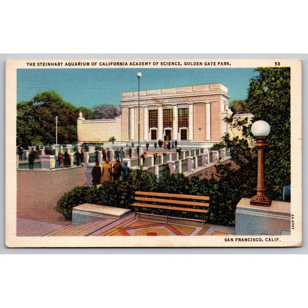 Steinhart Aquarium CA Academy of Science Postcard San Francisco Golden Gate Park-image