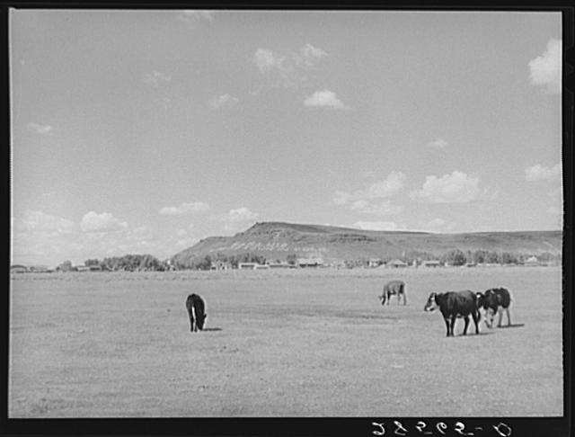 San Luis,oldest town in Colorado,Costilla County,Farm Security Administration