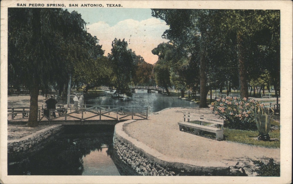 San Antonio, Texas TX Pedro Spring-Park & Bridges 1919 Original Vintage Postcard