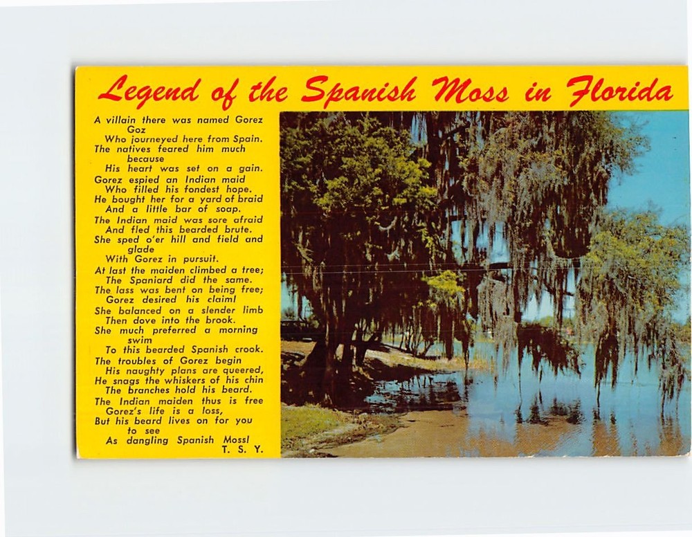 Postcard Legend of the Spanish Moss in Florida USA