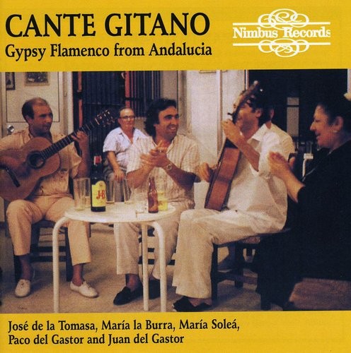 Various Artists - Gypsy Flamenco from Andalucia [New CD]