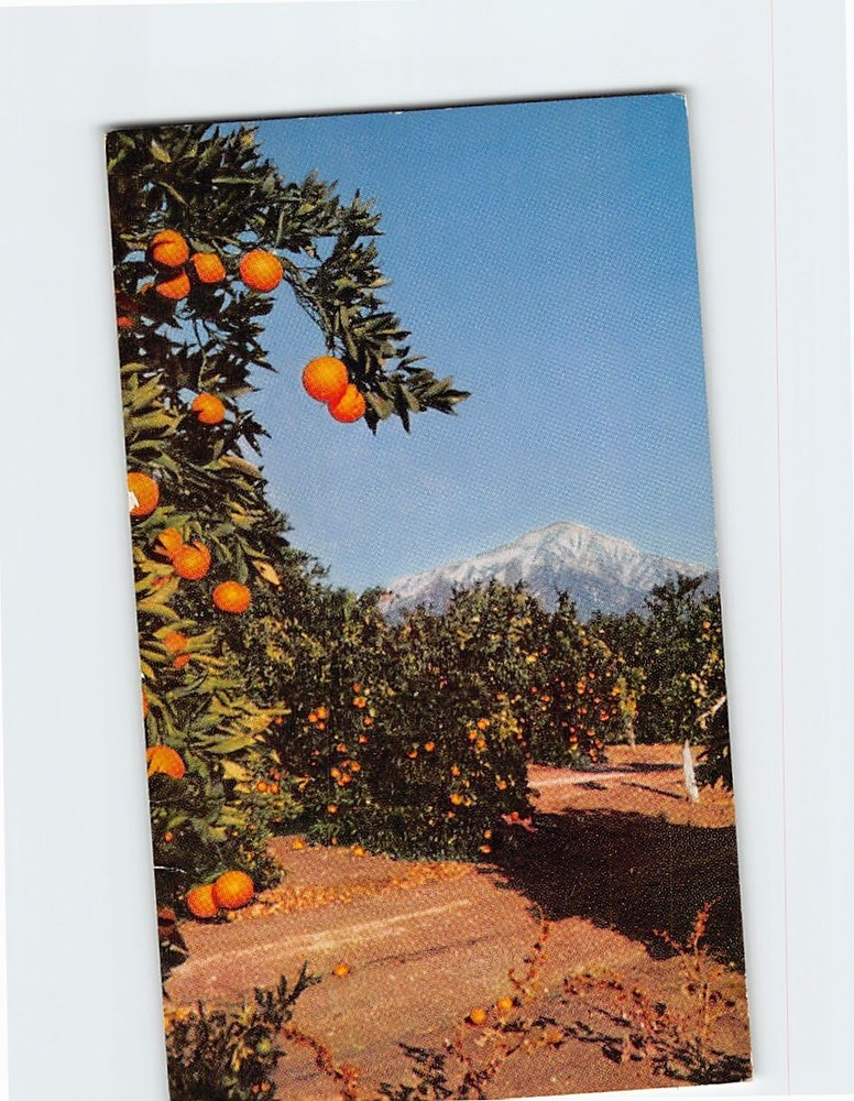 Postcard San Bernardino Foothills Southern California USA