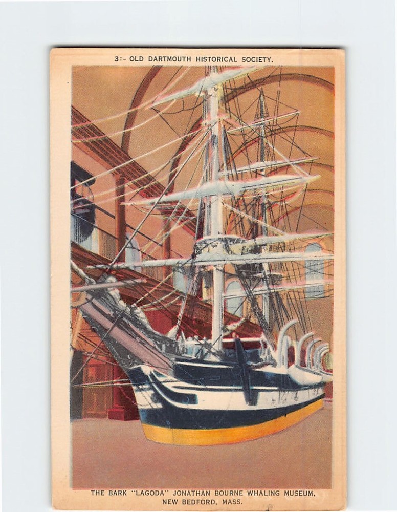 Postcard The Bark 