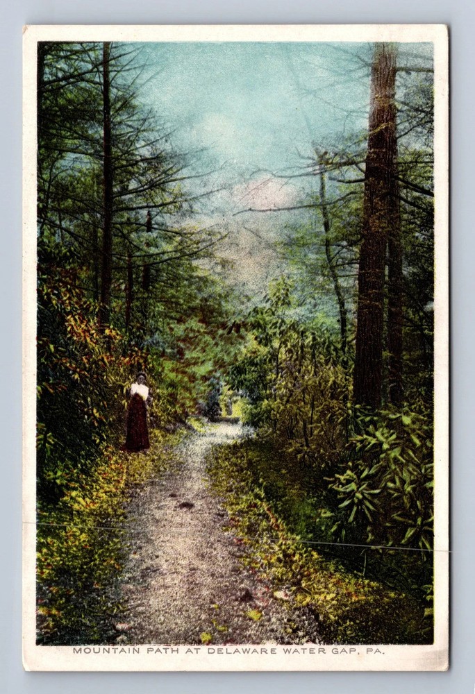 Delaware Water Gap PA-Pennsylvania Mountain Path Vintage Postcard