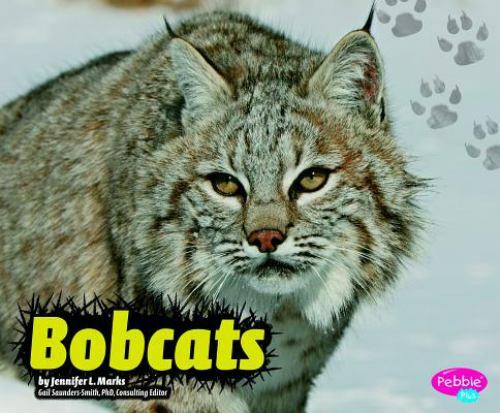 Bobcats, Library by Marks, Jennifer L., Like New Used, Free shipping in the US