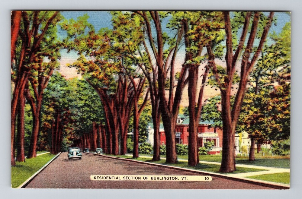 Burlington VT-Vermont, Residential Section, Cars, Vintage Postcard