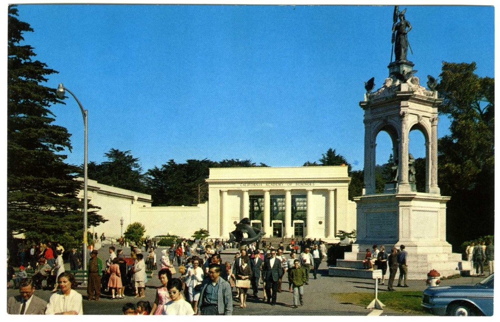 1960s SAN FRANCISCO CALIFORNIA ACADEMY of SCIENCES,GOLDEN GATE PARK~OLD POSTCARD-image