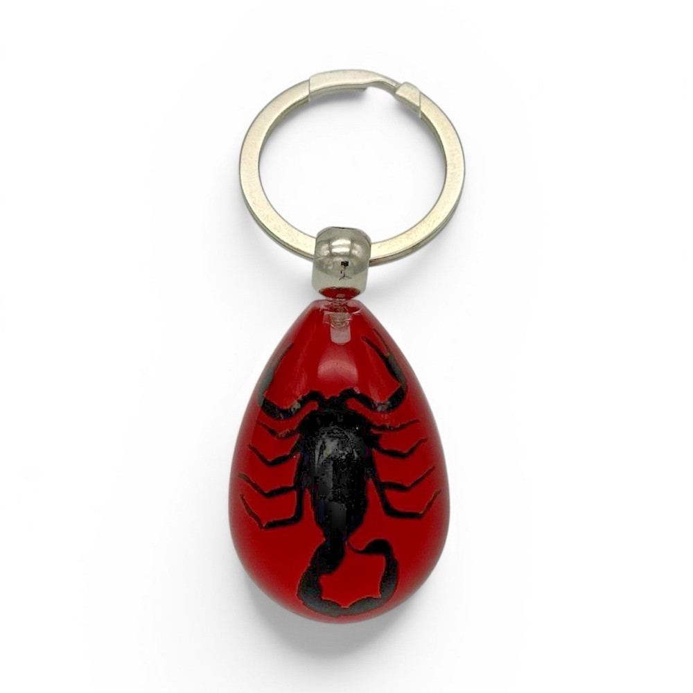Real Black Scorpion Red Resin Keychain Taxidermy Collectible Oddity Gift