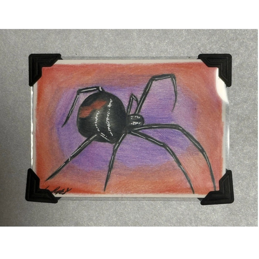 Aceo Art Card Black Widow Spider Drawing Original Colored Pencil Screampuff