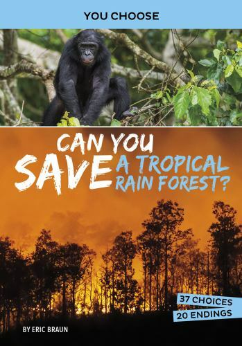 Can You Save a Tropical Rain Forest?, Paperback by Braun, Eric, Brand New, Fr...