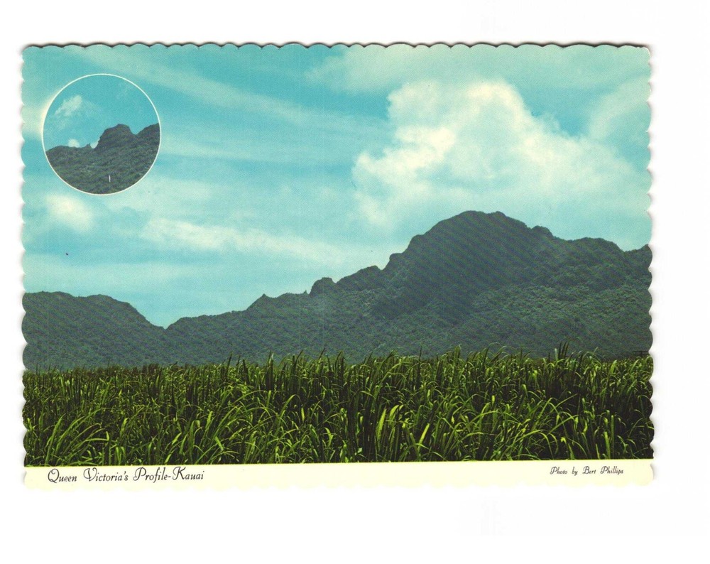 Queen Victoria's profile KAUAI Hawaii Vintage postcard unposted