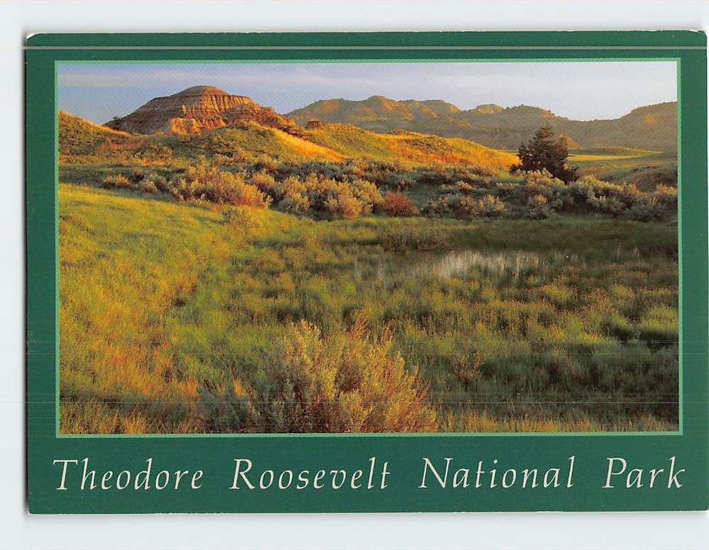 Postcard Theodore Roosevelt National Park North Dakota USA