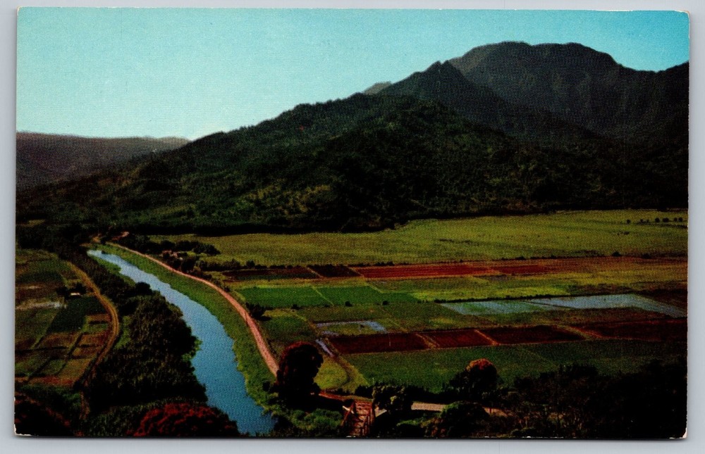 Vintage Selithco True Color Postcard Hanalei Valley Kauai Hawaii
